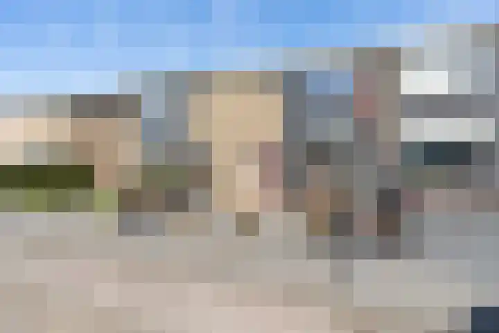 Finne 51 Hallum thumbnail 33