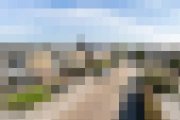 Finne 51 Hallum thumbnail 34