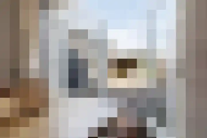 Finne 51 Hallum thumbnail 4