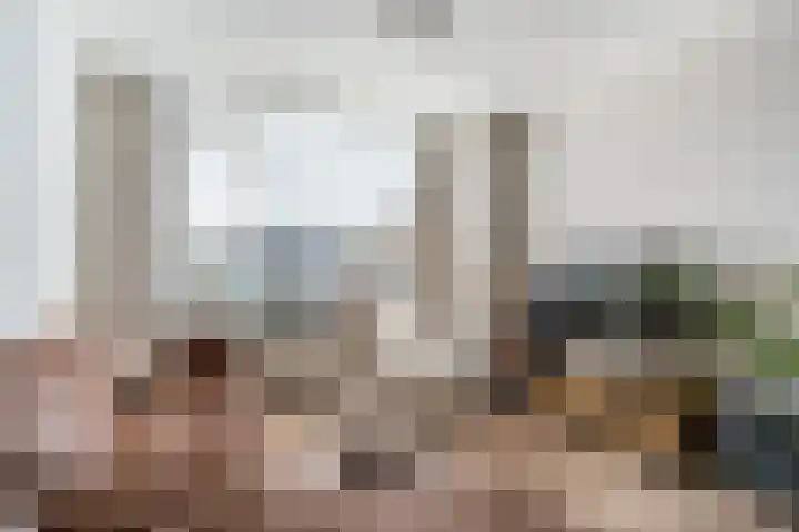 Finne 51 Hallum thumbnail 8