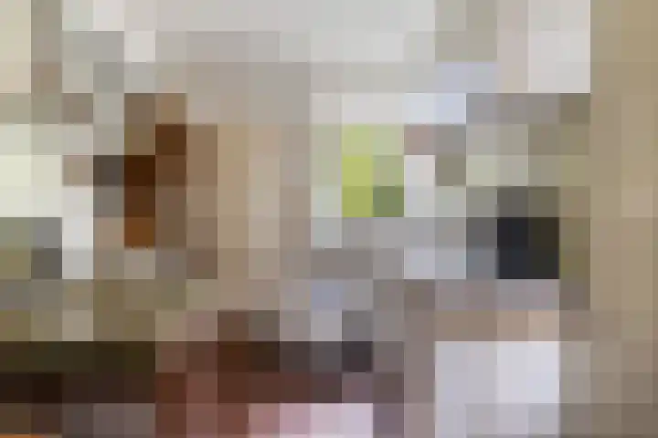Finne 77 Hallum thumbnail 12