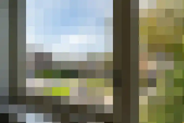 Finne 77 Hallum thumbnail 16