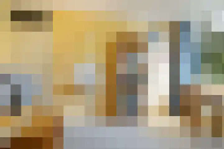 Finne 77 Hallum thumbnail 19