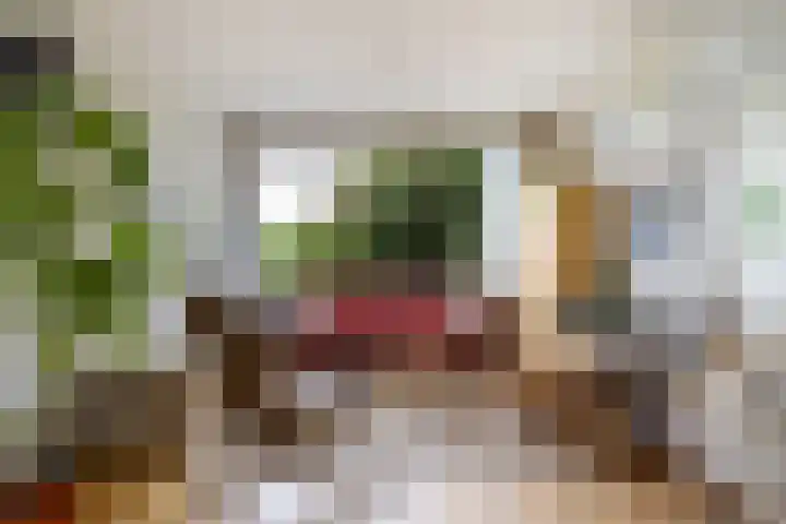 Finne 77 Hallum foto 2