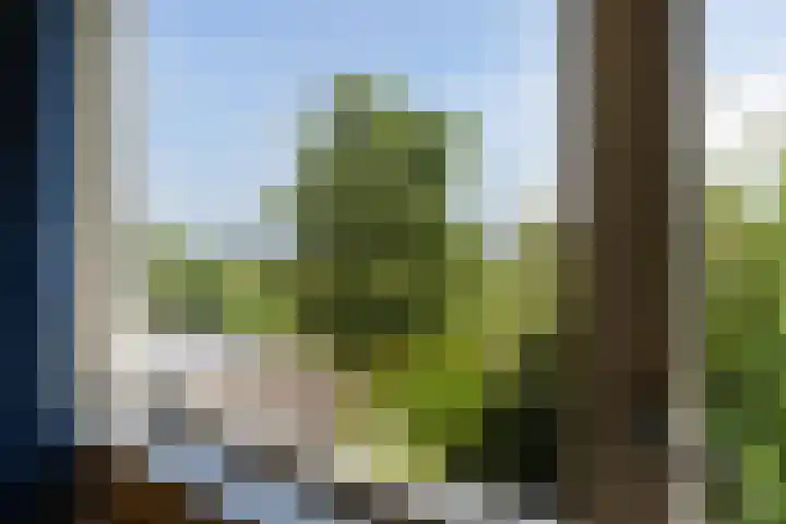 Finne 77 Hallum thumbnail 20