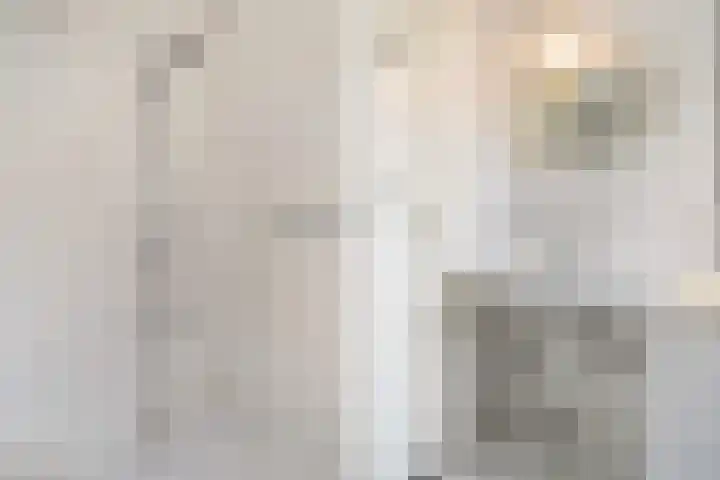 Finne 77 Hallum thumbnail 23