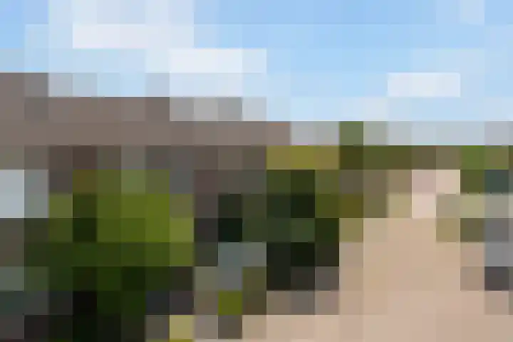 Finne 77 Hallum thumbnail 25