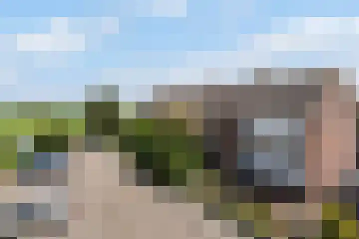Finne 77 Hallum thumbnail 26