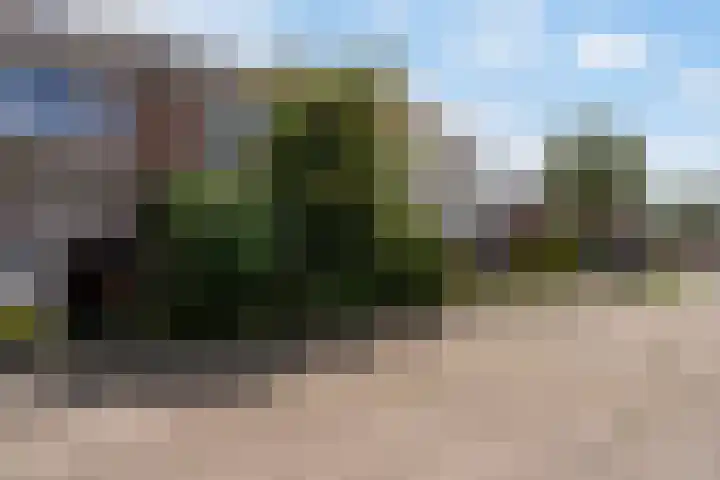 Finne 77 Hallum thumbnail 27