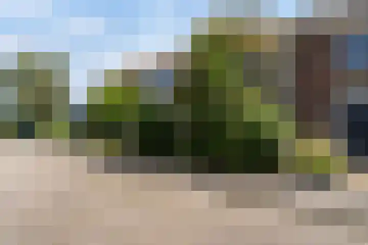 Finne 77 Hallum thumbnail 28