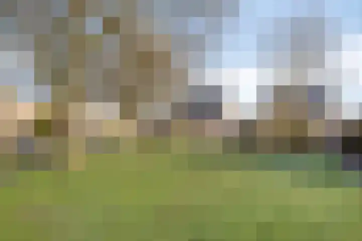 Finne 77 Hallum foto 3
