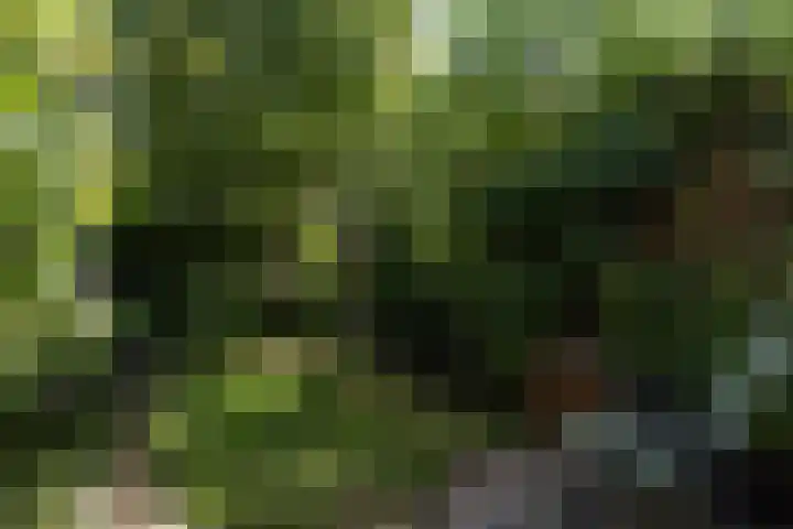 Finne 77 Hallum thumbnail 30