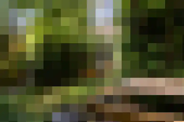 Finne 77 Hallum thumbnail 32