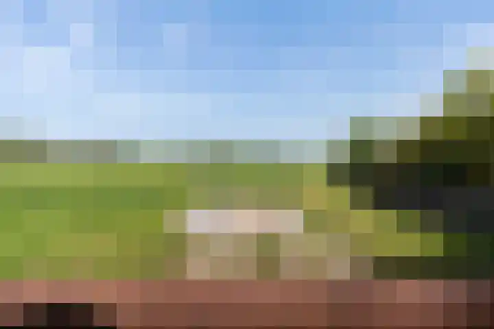 Finne 77 Hallum thumbnail 36