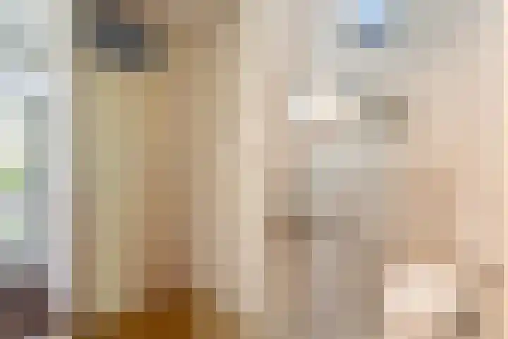 Finne 77 Hallum thumbnail 6