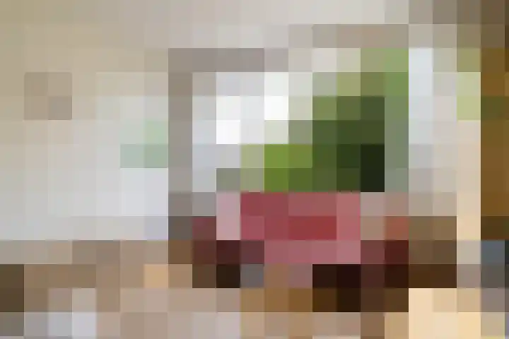 Finne 77 Hallum thumbnail 7