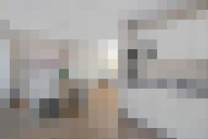 Finnekamp 17 Bakkeveen thumbnail 13
