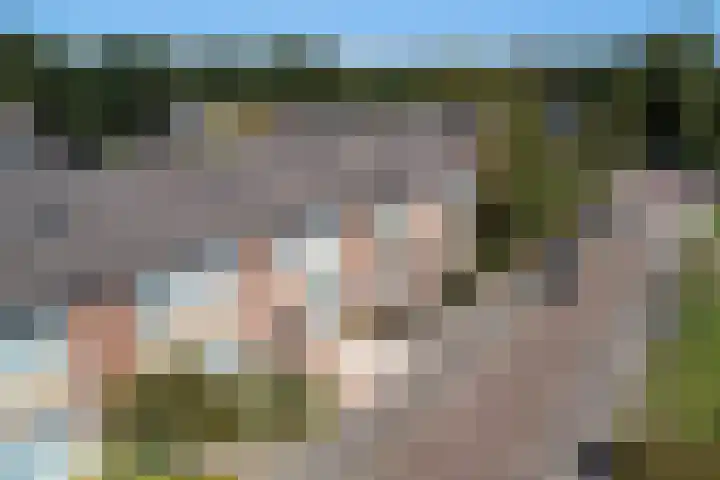Finnekamp 17 Bakkeveen thumbnail 40