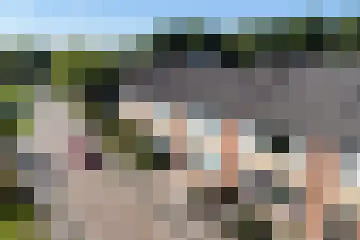 Finnekamp 17 Bakkeveen thumbnail 44