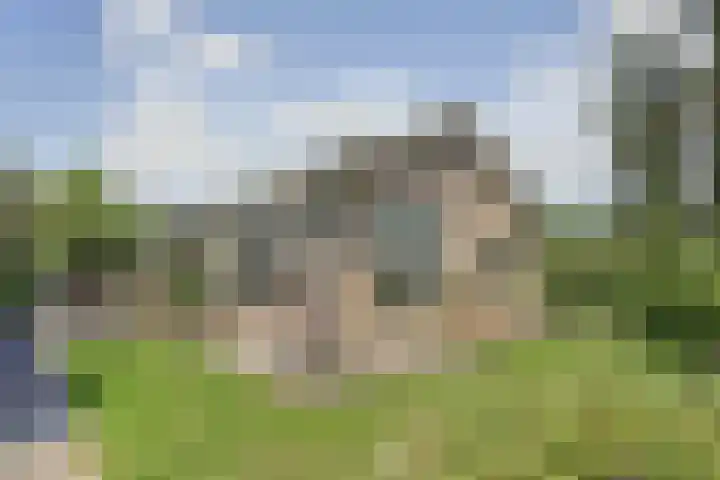 Finnepaed 6 Hijum