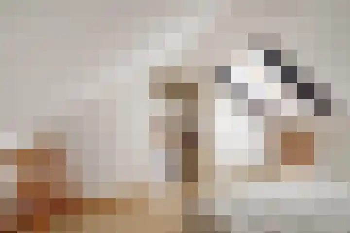 Finnepaed 6 Hijum thumbnail 25