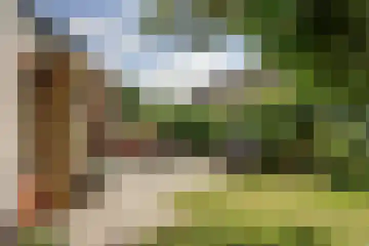 Finnepaed 6 Hijum thumbnail 28