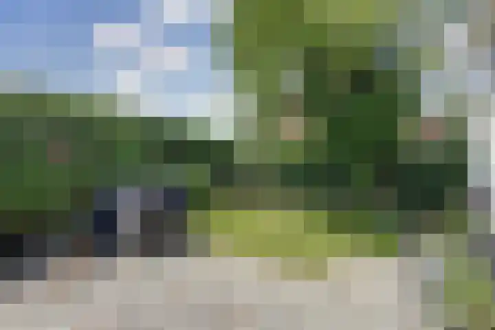 Finnepaed 6 Hijum thumbnail 29