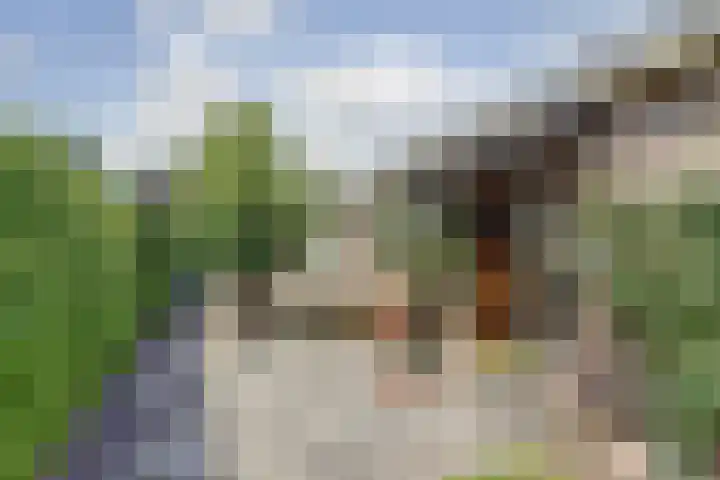 Finnepaed 6 Hijum thumbnail 31