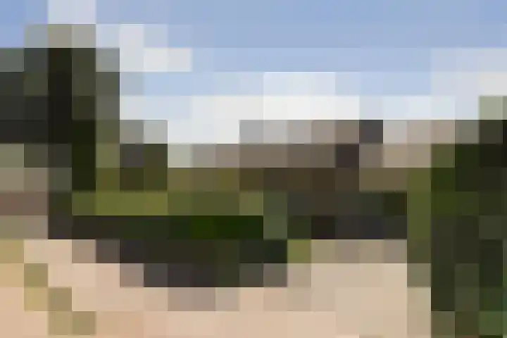 Finnepaed 6 Hijum thumbnail 34