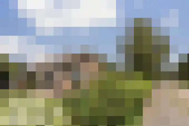 Finnepaed 6 Hijum thumbnail 35
