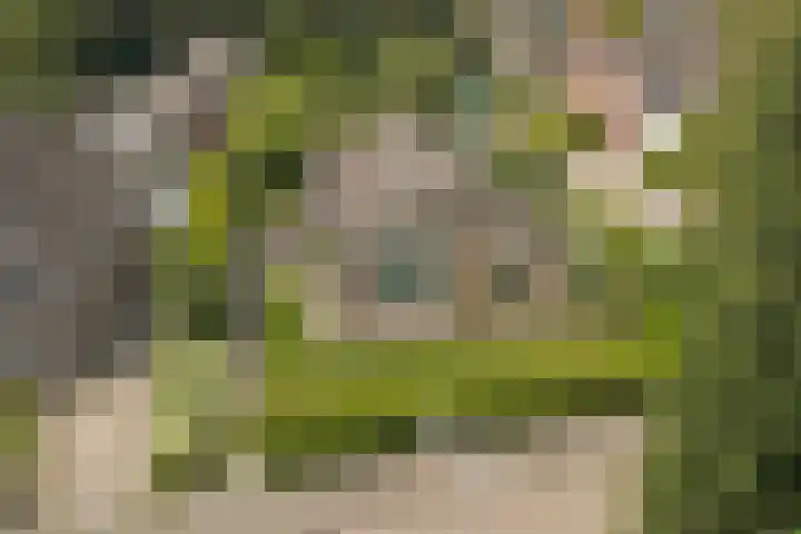 Finnepaed 6 Hijum thumbnail 36