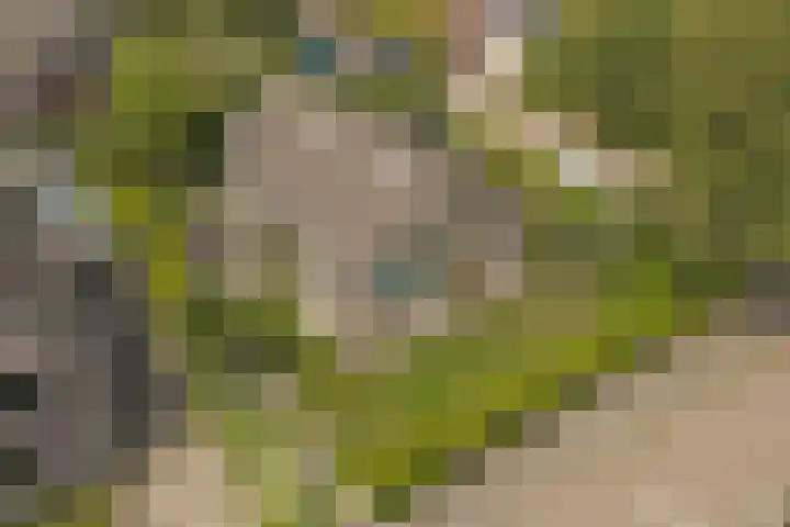 Finnepaed 6 Hijum thumbnail 37