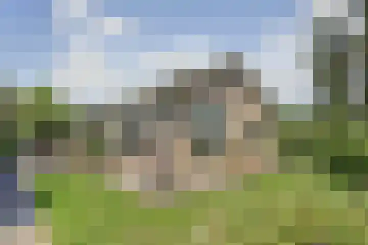 Finnepaed 6 Hijum thumbnail 40