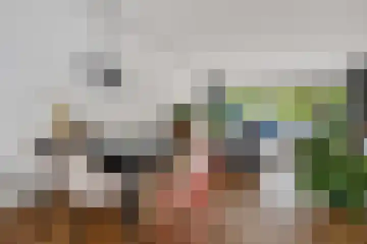 Finnmark 30 Leusden thumbnail 12