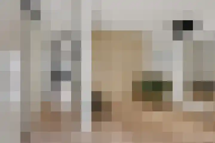 Finnmark 30 Leusden thumbnail 6