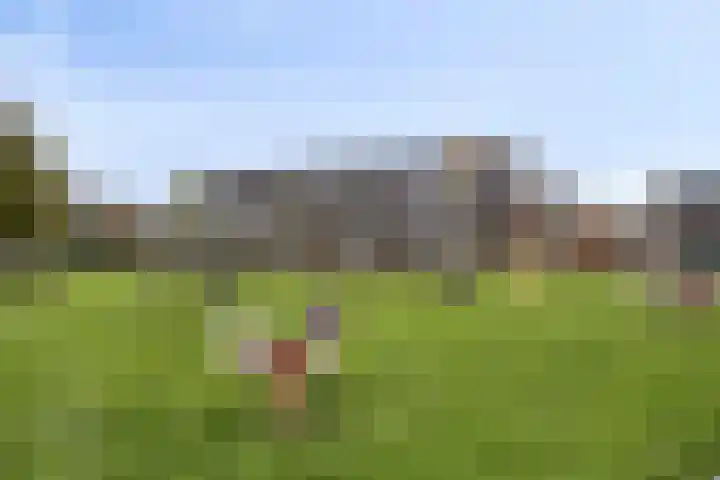 Fintstraat 5 Brakel thumbnail 25