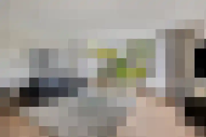 Fintstraat 5 Brakel thumbnail 30