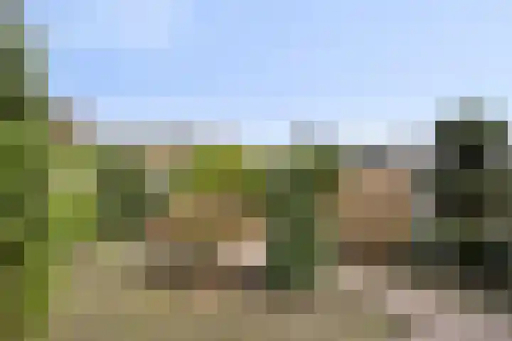 Fintstraat 5 Brakel thumbnail 6