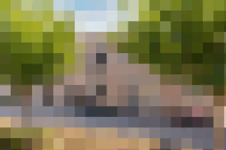 Fintstraat 5 Brakel thumbnail 7