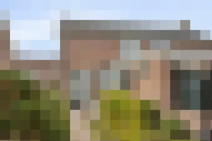 Fintstraat 5 Brakel thumbnail 8