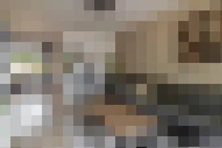 Fitissingel 182 Deurne thumbnail 13