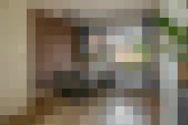 Fitissingel 182 Deurne thumbnail 15