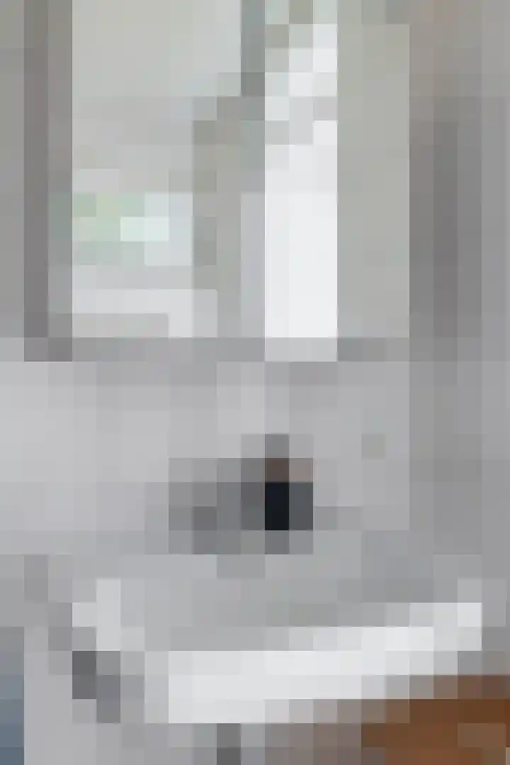 Fitissingel 182 Deurne thumbnail 30
