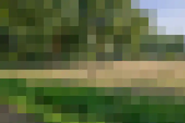 Fitissingel 182 Deurne thumbnail 46