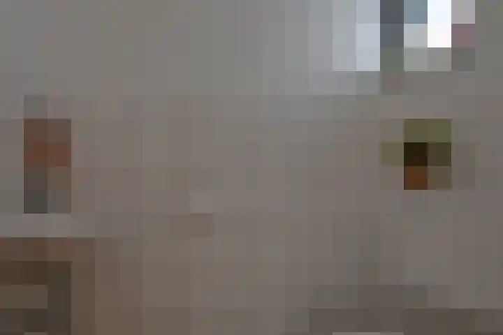 Fitissingel 29 Deurne thumbnail 11