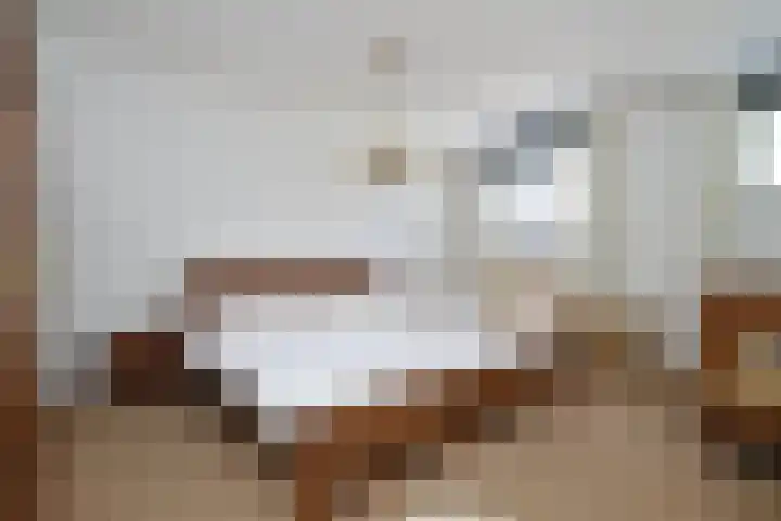 Fitissingel 29 Deurne thumbnail 12