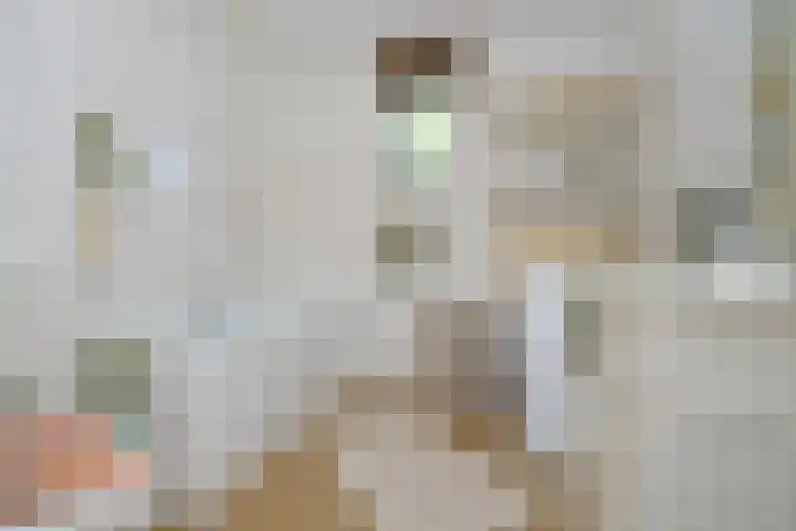 Fitissingel 29 Deurne thumbnail 17