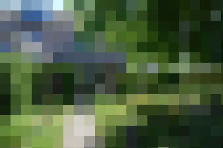 Fitissingel 29 Deurne thumbnail 20