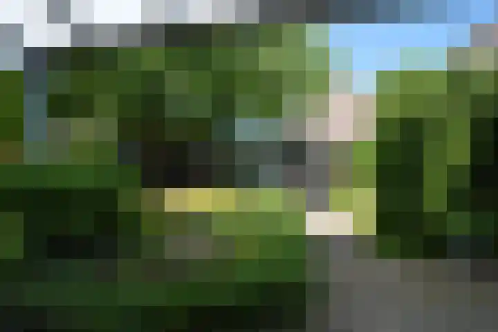 Fitissingel 29 Deurne thumbnail 22