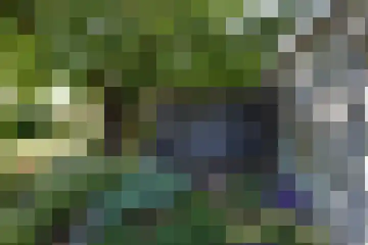 Fitissingel 29 Deurne thumbnail 24